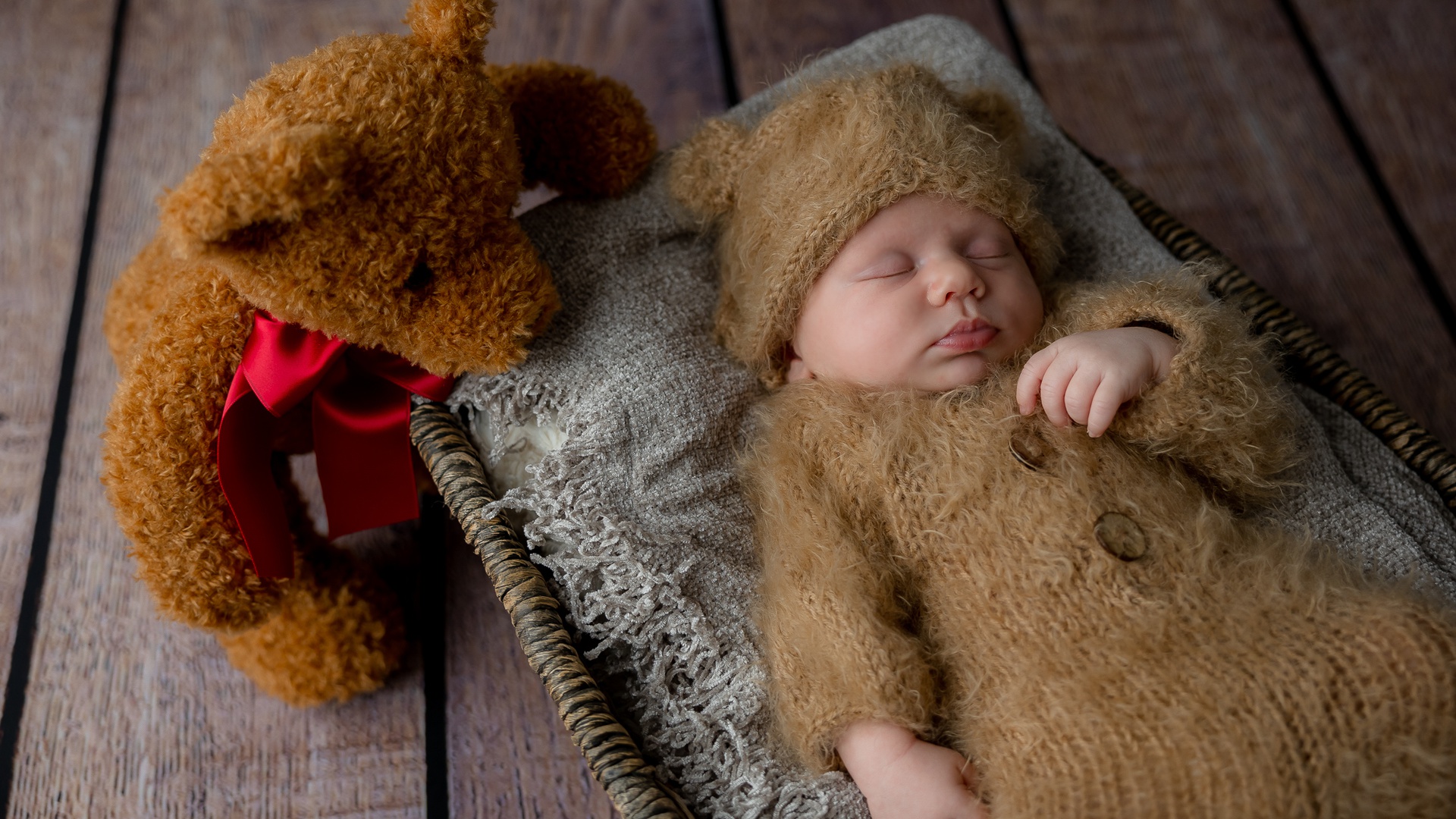 BABY-bear-001.jpg