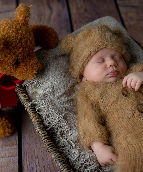 BABY-bear-001.jpg